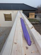 Råhus med detaljer